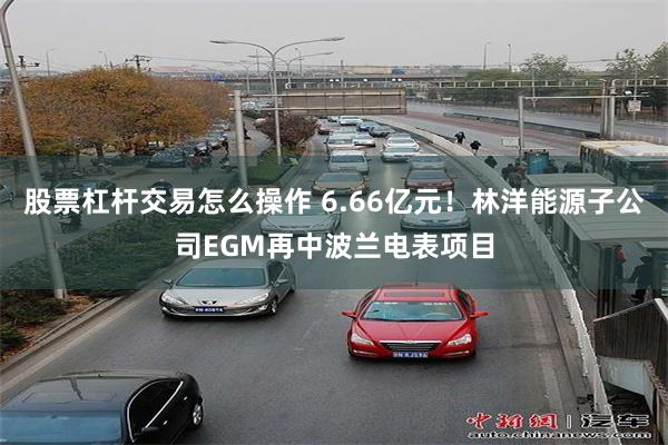 股票杠杆交易怎么操作 6.66亿元！林洋能源子公司EGM再中波兰电表项目