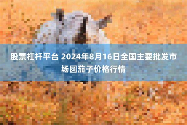 股票杠杆平台 2024年8月16日全国主要批发市场圆茄子价格行情