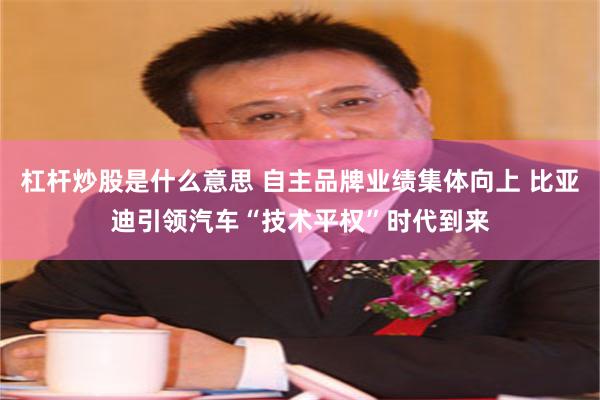 杠杆炒股是什么意思 自主品牌业绩集体向上 比亚迪引领汽车“技术平权”时代到来