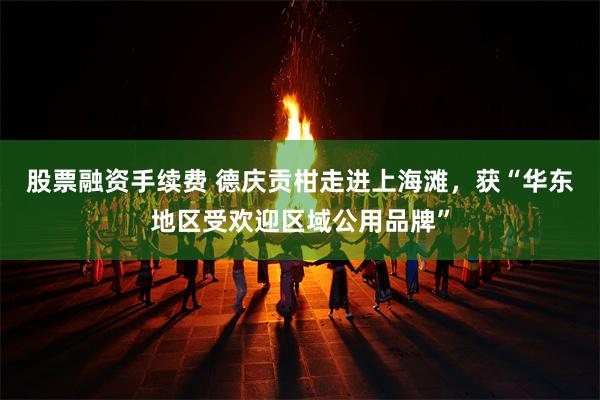 股票融资手续费 德庆贡柑走进上海滩，获“华东地区受欢迎区域公用品牌”