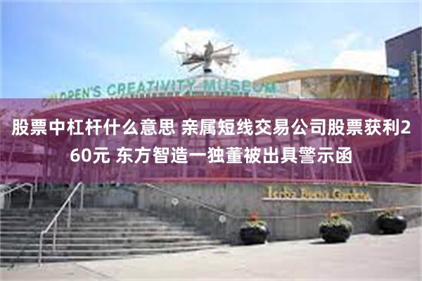 股票中杠杆什么意思 亲属短线交易公司股票获利260元 东方智造一独董被出具警示函